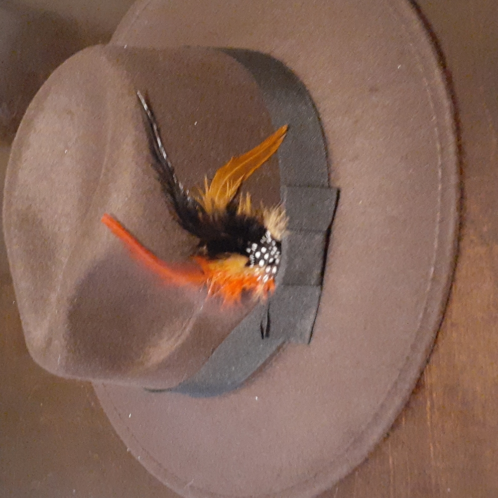 Dark Brown Fedora